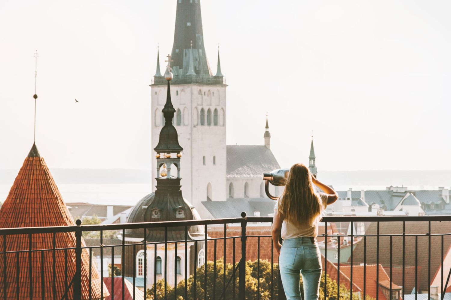 BSc in History of Europe