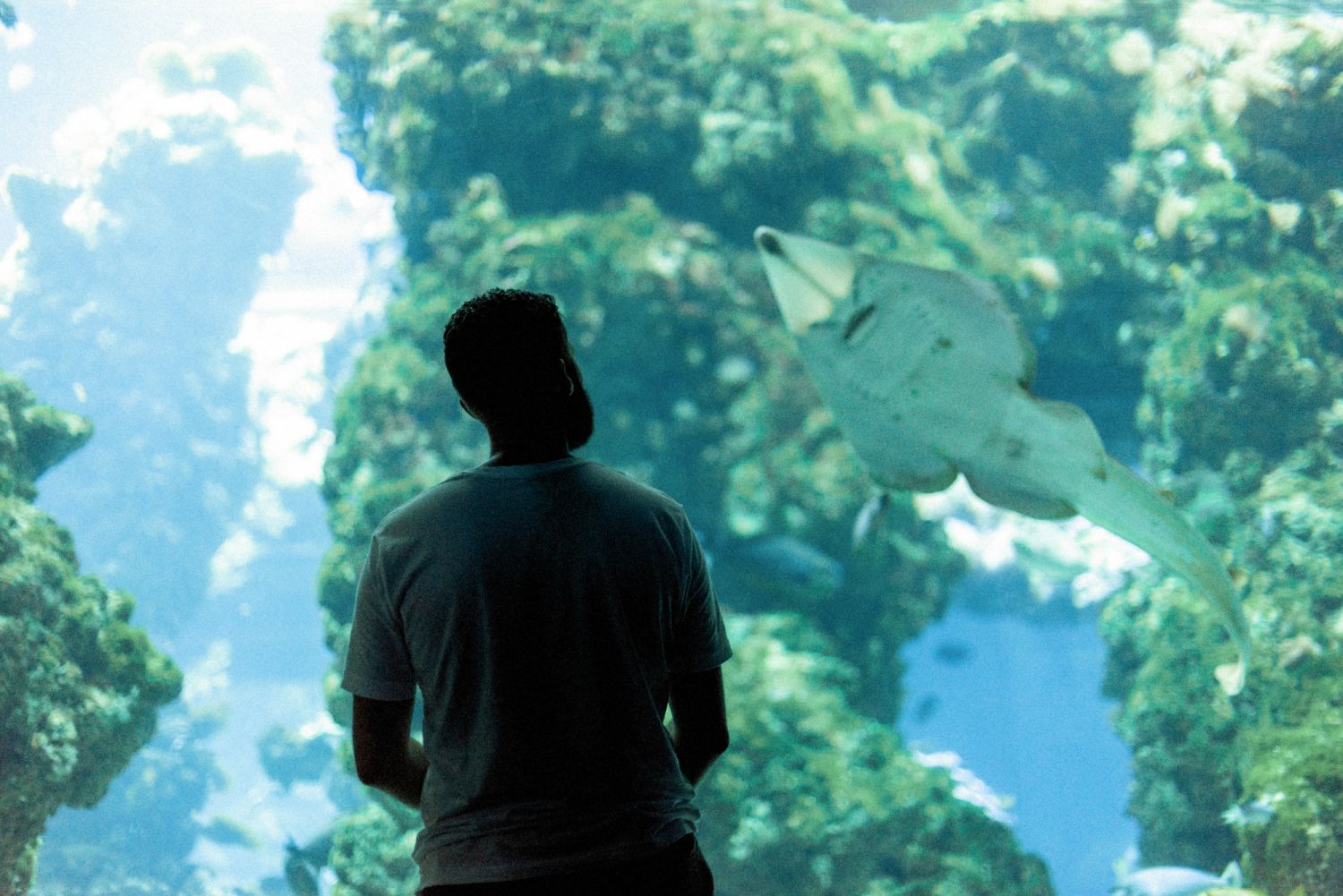 BSc in Physical Geography and Oceanography
